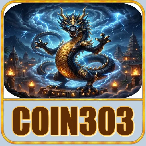 coin303